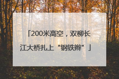 200米高空，双柳长江大桥扎上“钢铁辫”